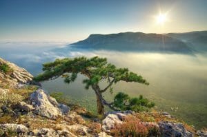 showing that kindness is higher ground